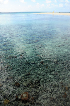 塞班军舰岛珊瑚礁