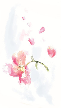 水彩小花（未分層）