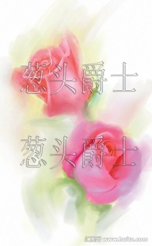 雙玫瑰