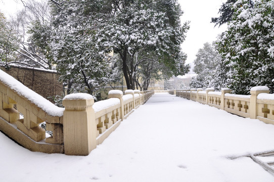 总统府雪景