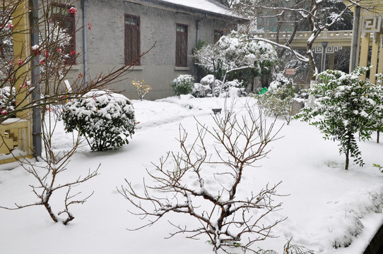 总统府雪景