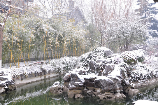 总统府雪景