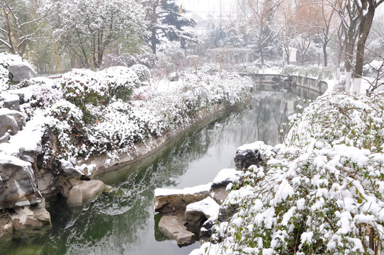 总统府雪景