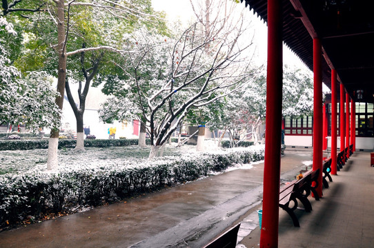 总统府雪景