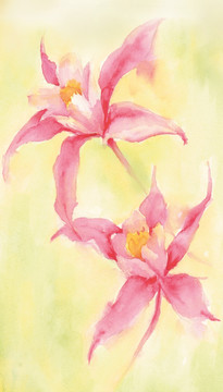 水彩小花（未分層）