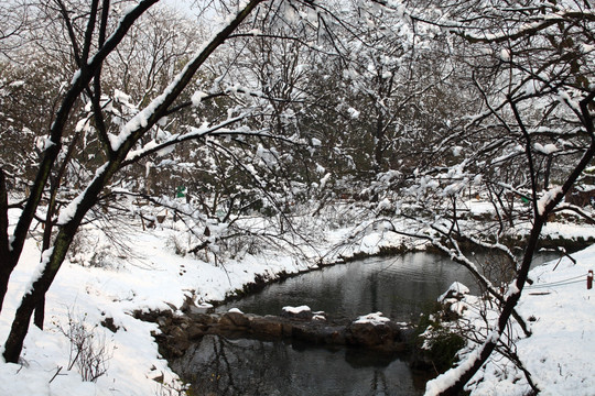 西湖风景