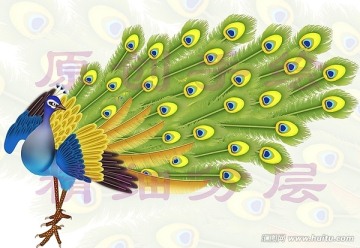 唯美手繪孔雀