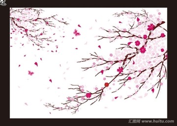爛漫櫻花