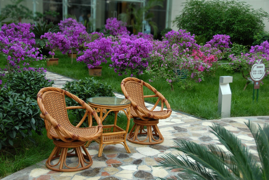 花园 藤椅