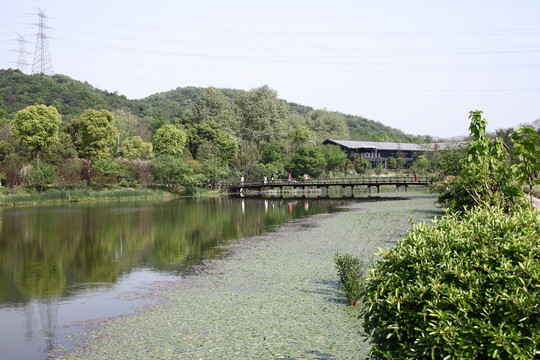 杭州八卦田