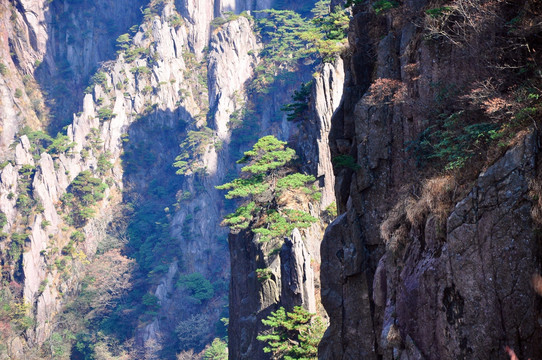 黄山风景