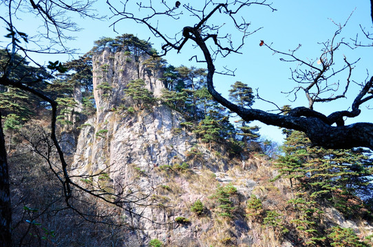 黄山风景