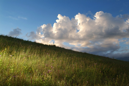 彩云和开满野花的草坡