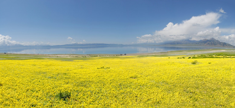 赛里木湖（大画幅）