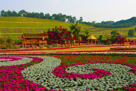 城市花园