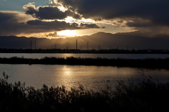 宁夏银川 阅海湿地 湿地 湖水