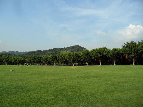 草地 树林 山峦