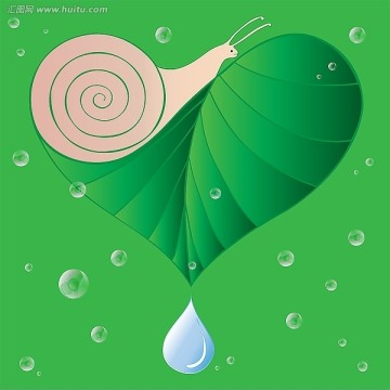 绿叶 蜗牛 水滴