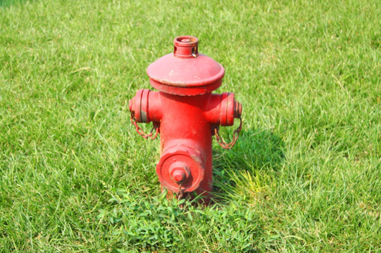 草地里的消防栓