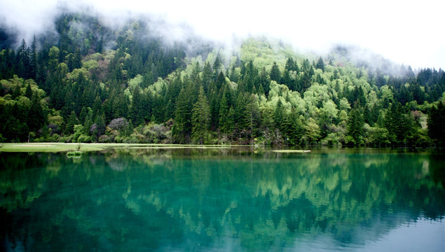 青山绿水