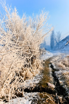 冰雪小路