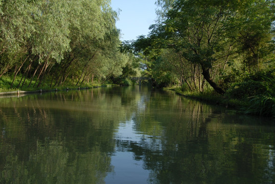 西溪湿地