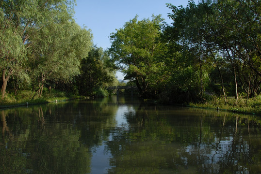 西溪湿地