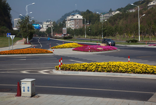 道路绿化