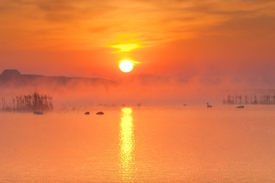 天鹅湖