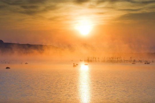 天鹅湖