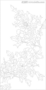 線描牡丹
