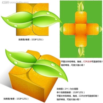 桔子雙葉盒