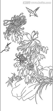 線描菊花