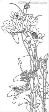 荷花魚