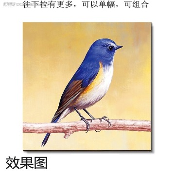 手繪鳥類無框畫