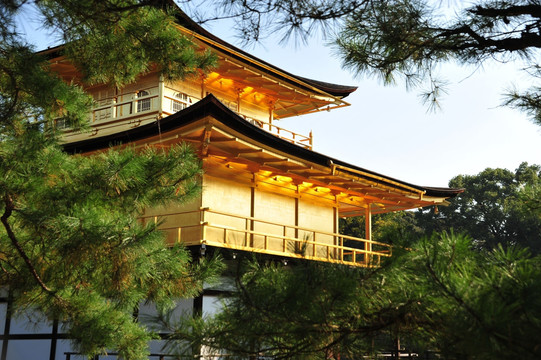 京都金阁寺