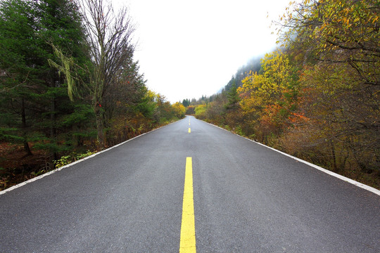 公路风景