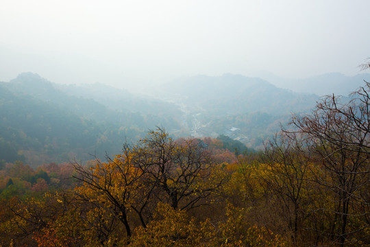 秋日山林