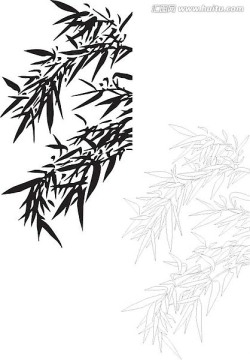 單、雙線竹