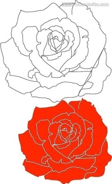 單雙線花