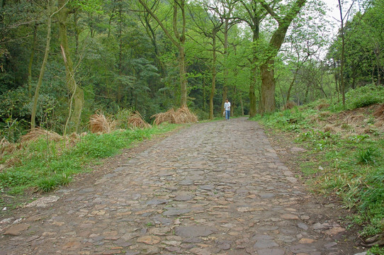 山间小路