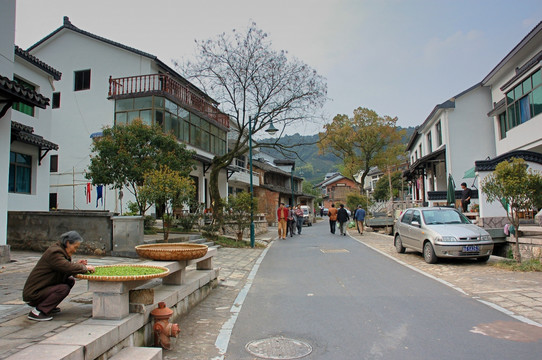 龙井村