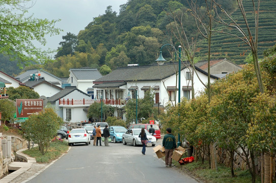 龙井村