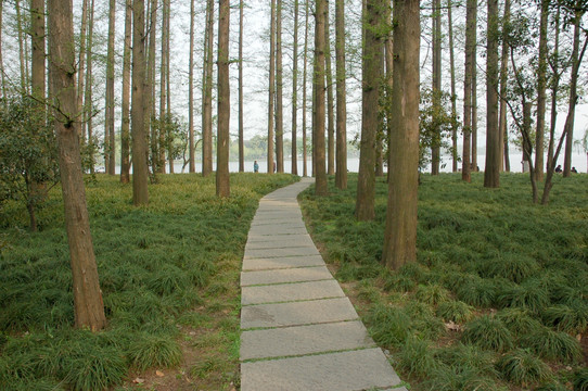 林間小路