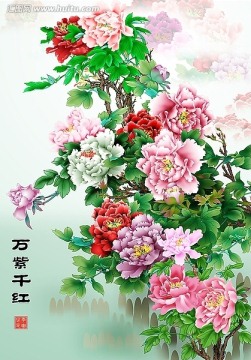 萬紫千紅