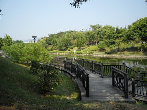 河畔 河边风景 曲桥