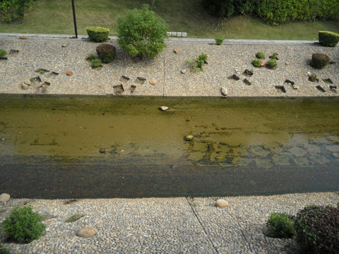 河水 河道