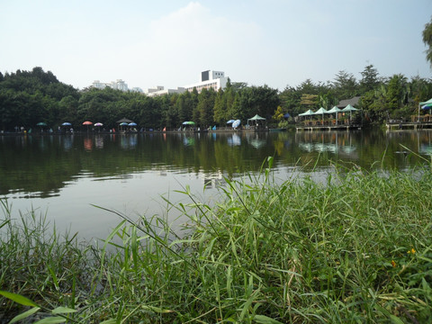 湖畔 湖水 湖边风景