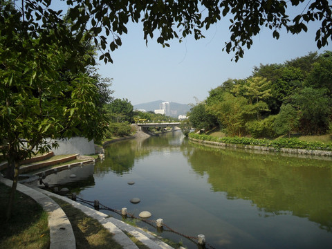 河畔 河边风景