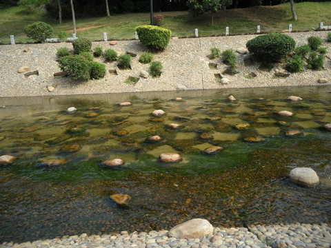 河畔 河边风景